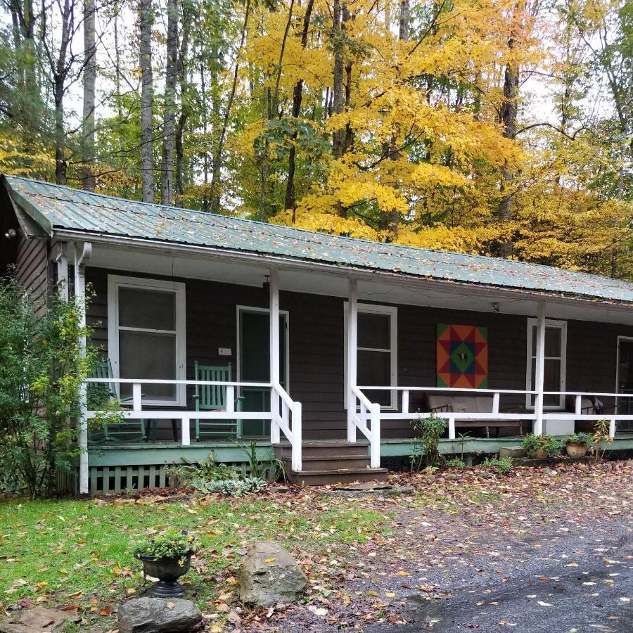 The Cabins At Healing Springs Crumpler Eksteriør billede