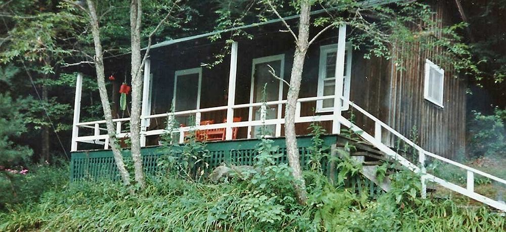 The Cabins At Healing Springs Crumpler Eksteriør billede