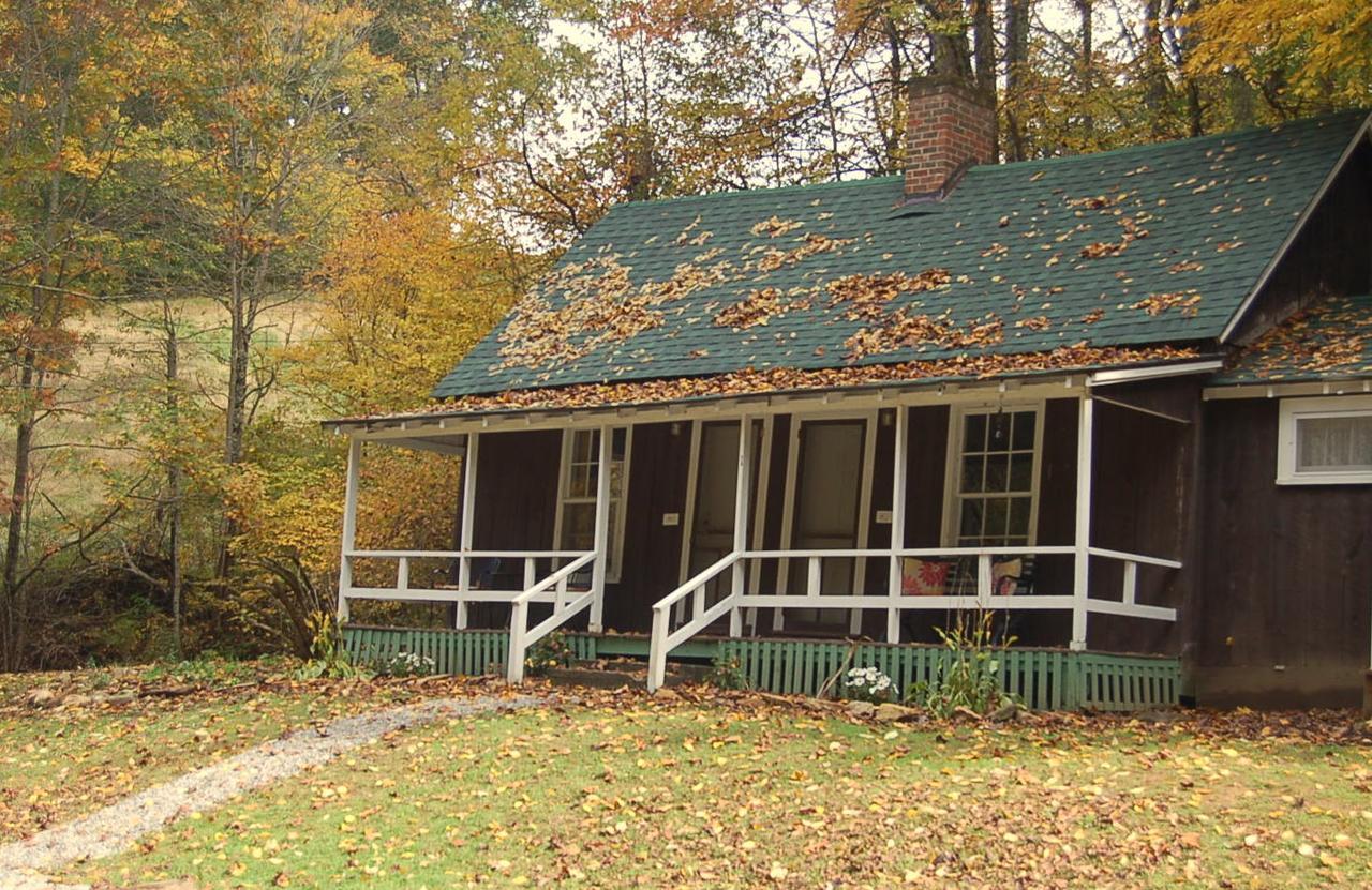 The Cabins At Healing Springs Crumpler Eksteriør billede