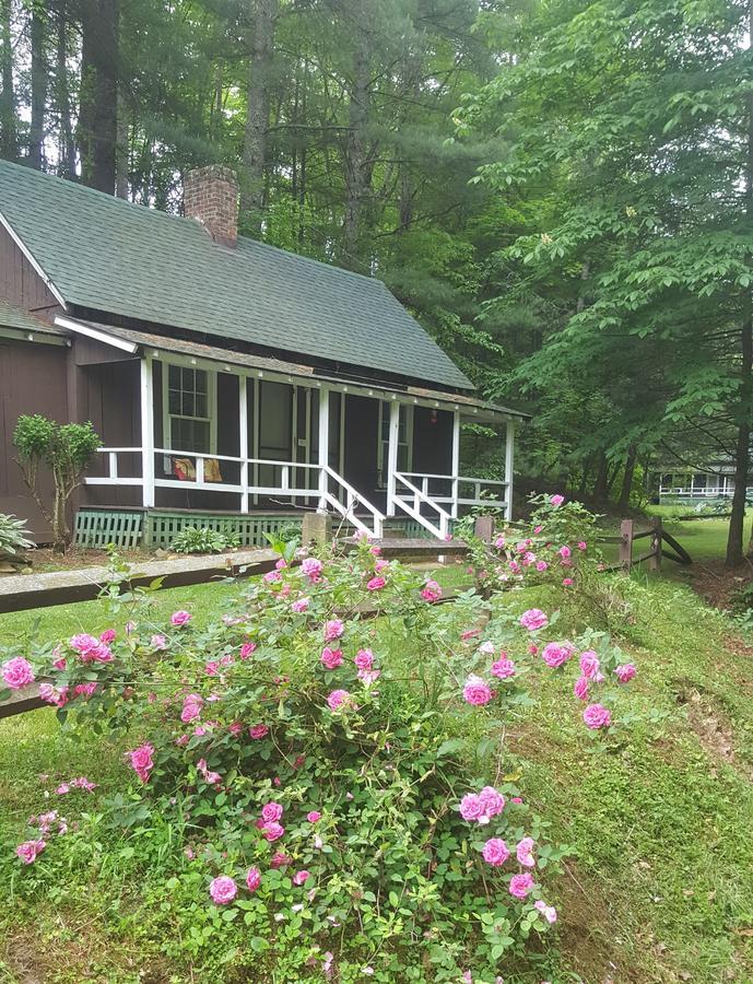 The Cabins At Healing Springs Crumpler Eksteriør billede